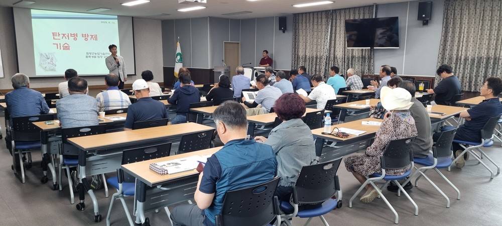 함평군, 장마철 대비 과수탄저병 예방 총력