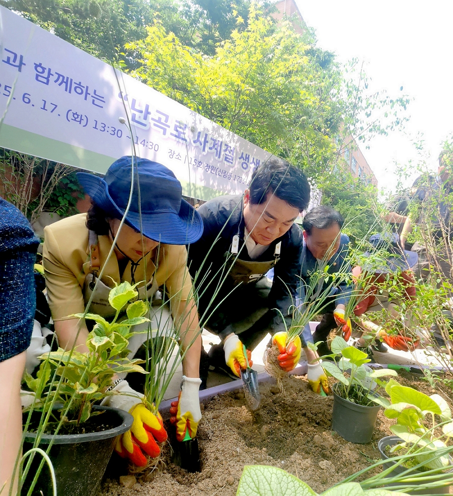 관악구, 자투리 공간을 힐링 스폿으로! 주민과 함께 ‘난곡로 사계절 생생정원’ 완성