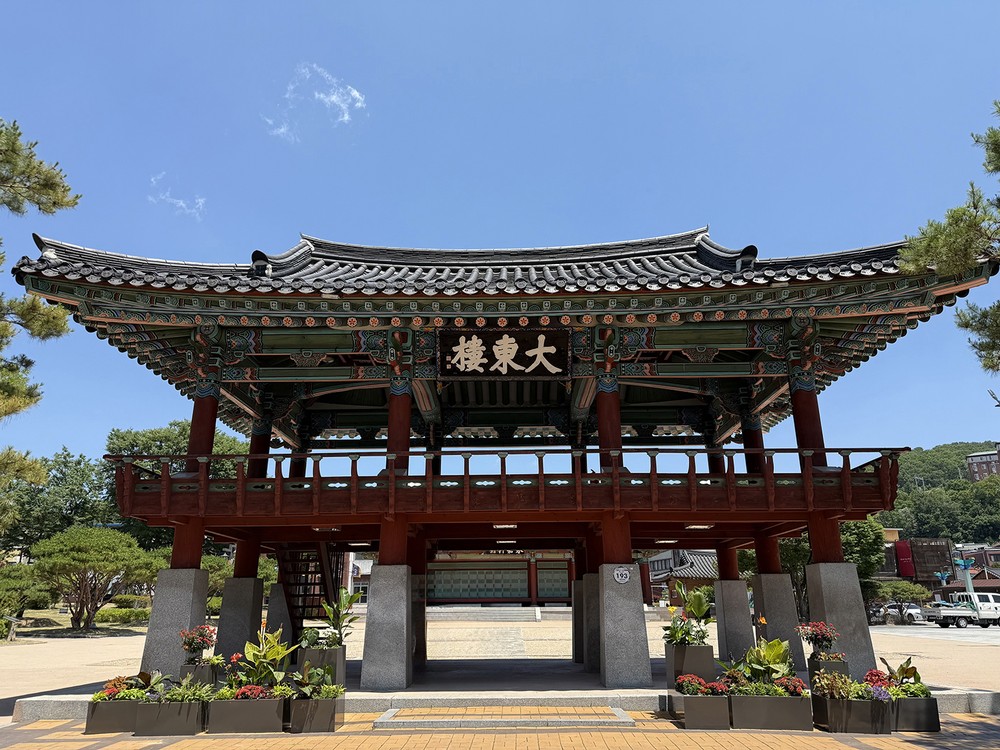 안동시, 도심 내 ‘열대풍 가로화단’ 조성으로 여름철 색다른 볼거리 제공
