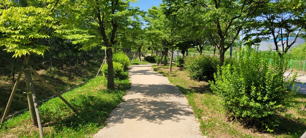 김포시, 대보천 도시숲길 산책로 정비 완료