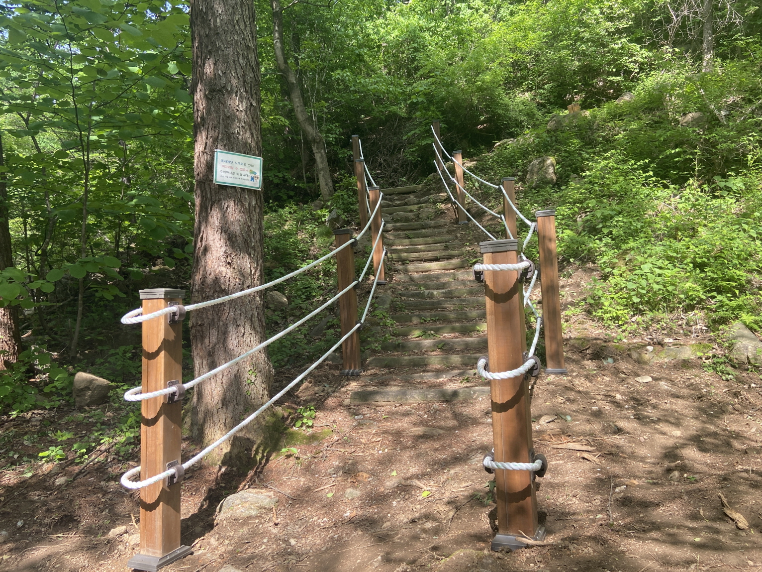 영주시, ‘동서트레일 영주 구간’ 조성 완료