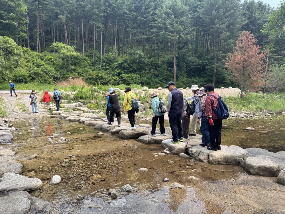 구리시, 치매 돌봄 가족 대상 ‘숲 체험 산림치유 프로그램’ 운영