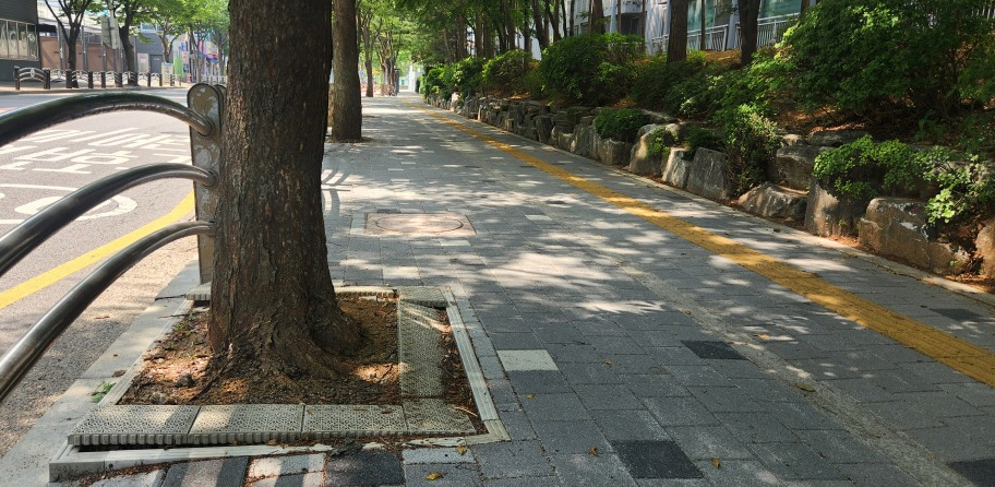 인천 서구, 승학로 가로수 보호틀 정비... “보행자는 안전, 도시는 더 아름답게!”
