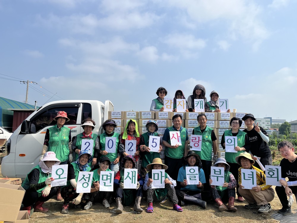 2025년 ‘오성면 새마을 사랑의 감자 캐기’ 행사 실시
