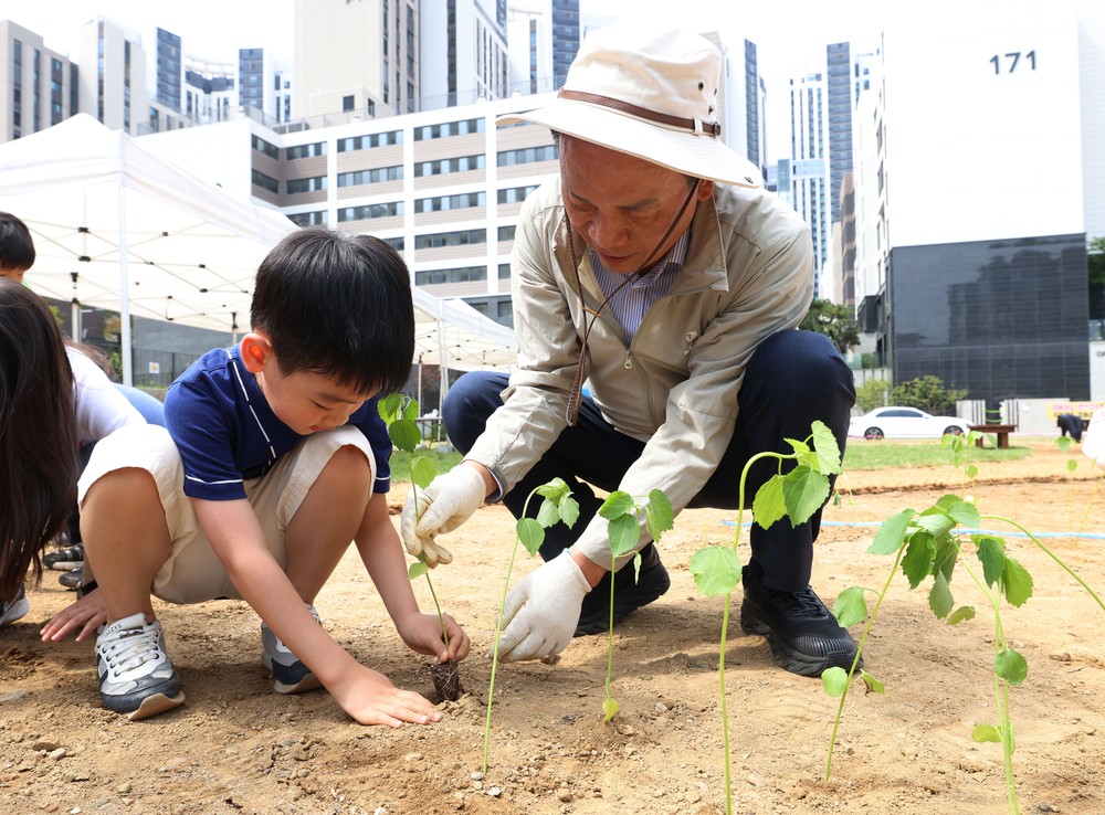 강남구, 유휴부지 활용 탄소중립 실천… 양삼 심기 행사 개최