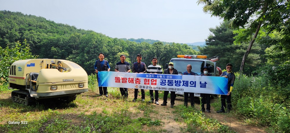 강화군, 농작물 피해주는 돌발해충 집중 방제 나서