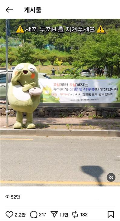 ‘두꺼비를 지켜라’뚜비 로드킬 방지 영상
조회수 50만 회 돌파, 대박터졌다!