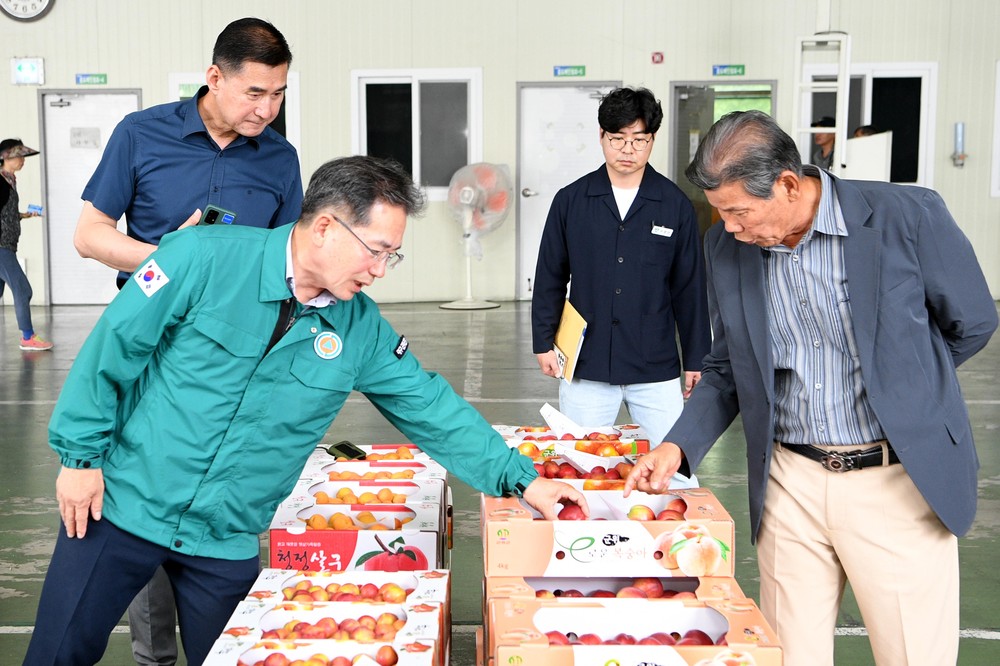 군위군, 2025년 농산물 공판장 개장
- 군위 자두 본격 출하 시작