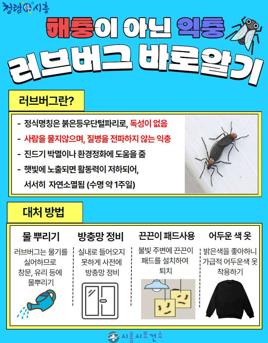 올해도 어김없이 찾아온 러브버그, 이렇게 대응하세요