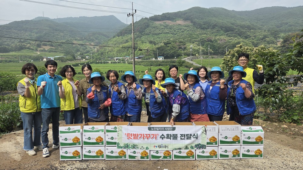 하동시니어클럽, 텃밭 가꿔 수확한 감자 이웃에 나눠