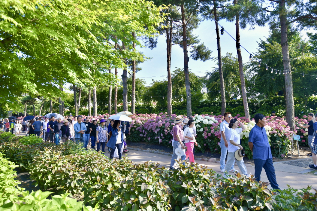 공주시, ‘제4회 공주 유구색동수국정원 꽃 축제’ 앞두고 안전점검 실시