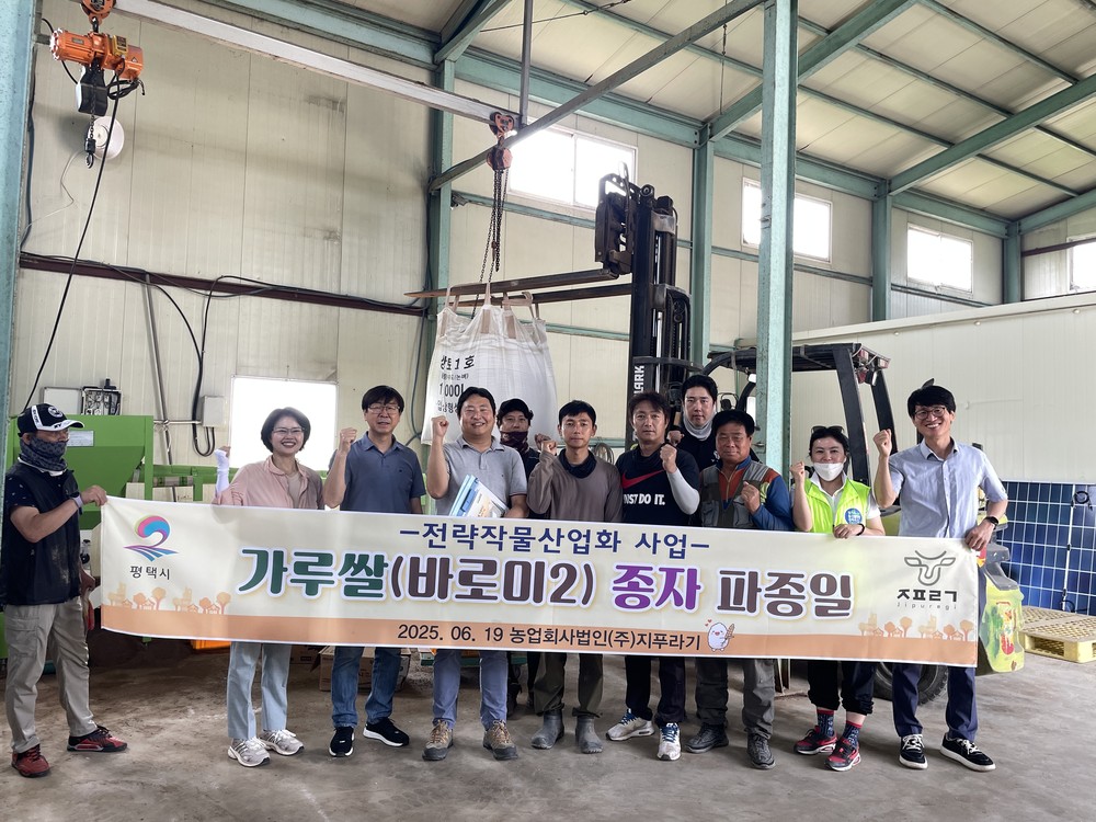평택시, 논타작물 가루쌀(바로미2) 육묘 중점 관리