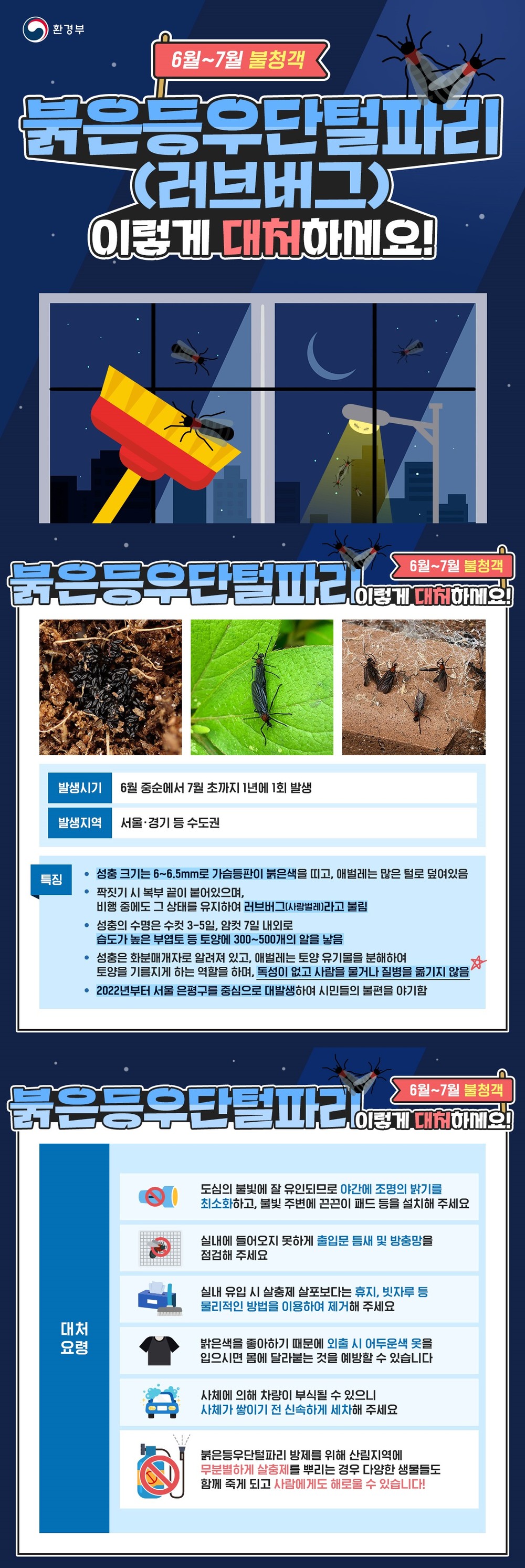 안양시가 알리는 여름 불청객 붉은등우단털파리(러브버그) 슬기로운 대응법