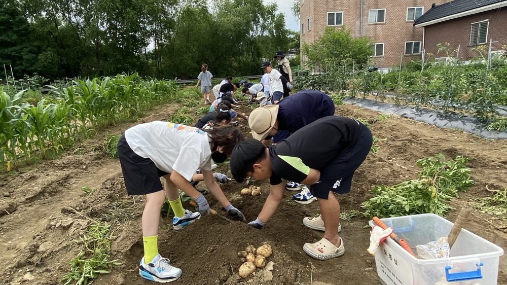 송탄초등학교, 키드키드팜과 함께하는 오감 만족 학교 텃밭 체험 수업 추진
