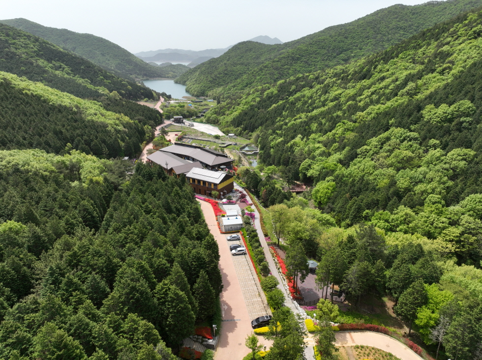 고흥군, 편백 치유의 숲 경유 농어촌버스 시범운행 8월 말까지 연장