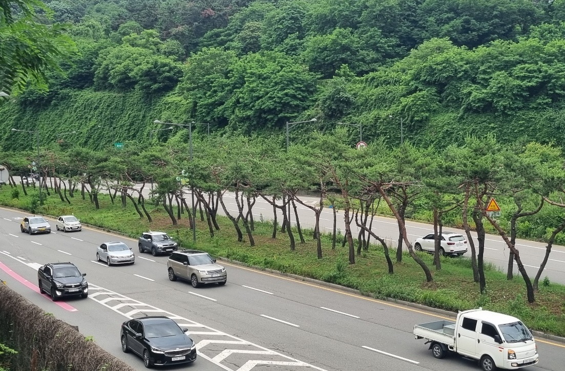 미추홀구, 생활권 인접 쉼터 및 녹지대 수목 정비 완료