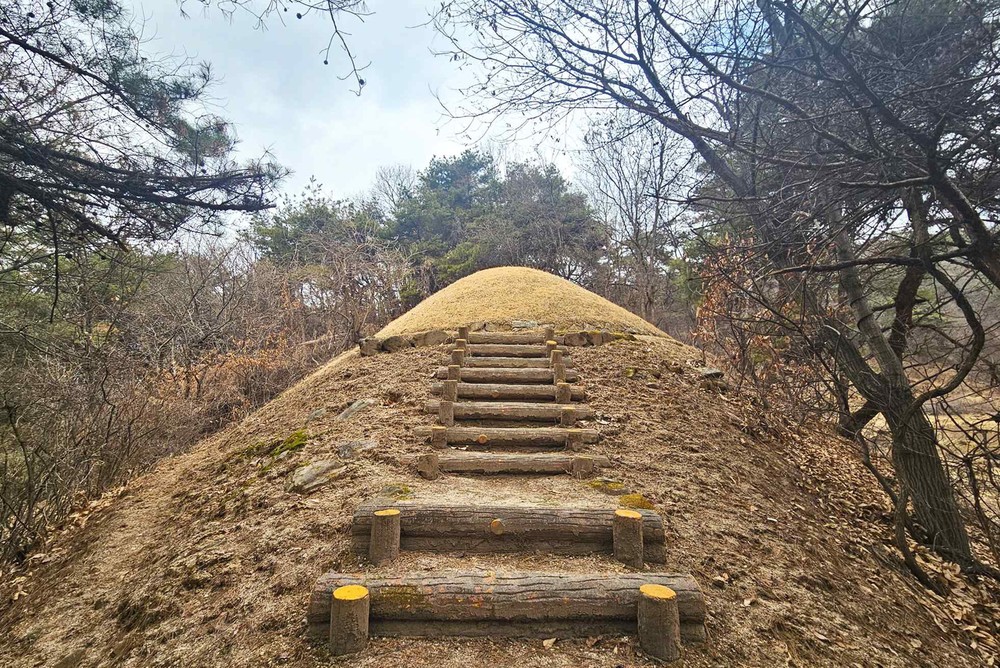 영주 순흥 벽화고분과 금성대군신단, 문화유산구역 조정 및 보호구역 지정 예고