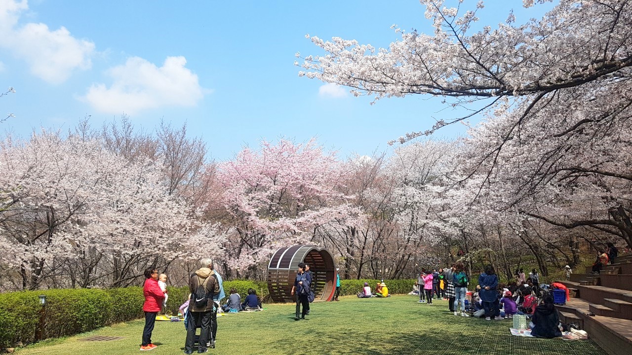 서대문구 '안산 잔디마당' 숲속 공공예식장으로 무료 개방