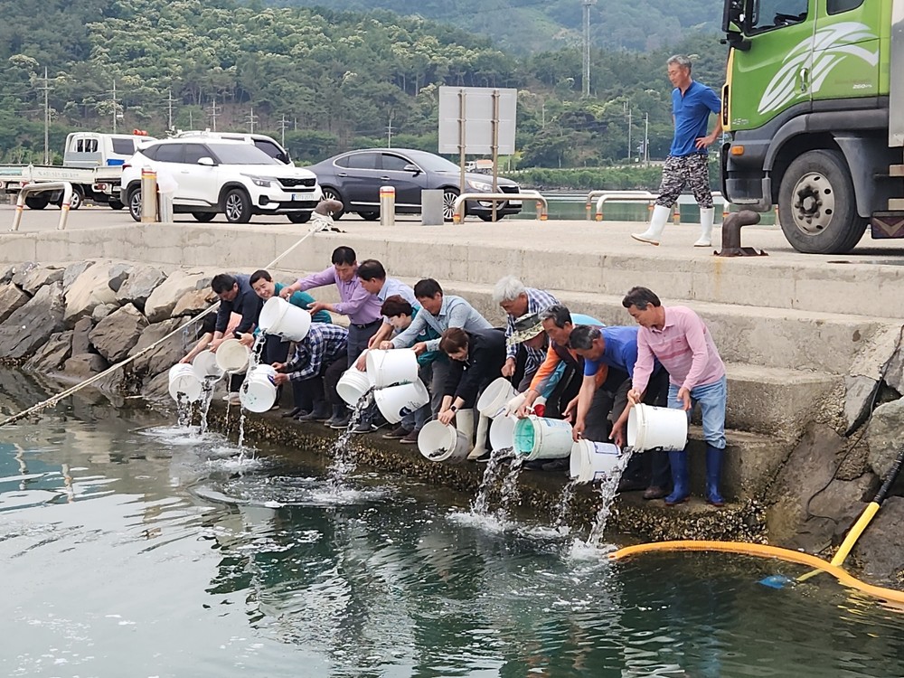 고성군, 수산자원 증강 및 어업인 소득증대를 위한 ‘수산종자 방류사업’ 실시