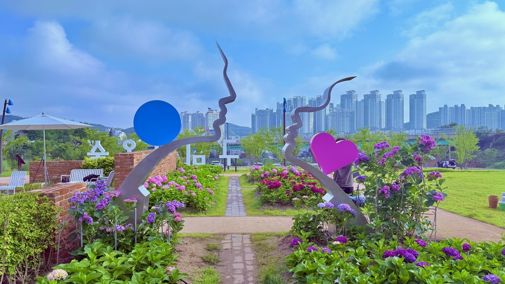 구미 다온숲, 수국길 따라 인생샷 찍으러 오세요