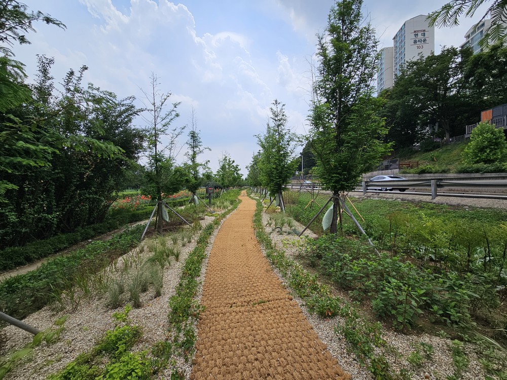 동대문구, 중랑천 바람길숲 ‘초록사잇길’ 조성