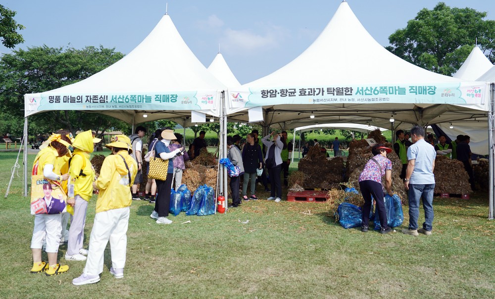 제16회 서산6쪽마늘축제 성료 ‘3만여 명 방문’