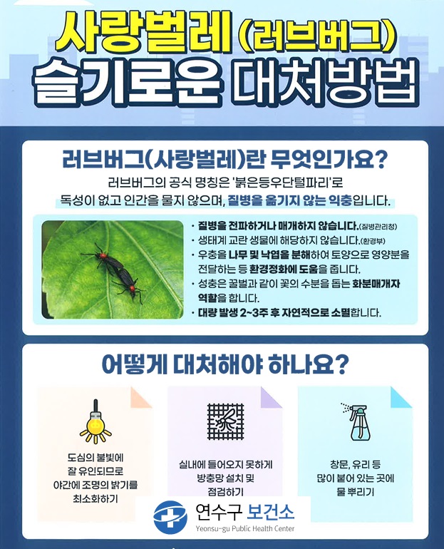 연수구, 러브버그 방제 친환경 집중 방역소독