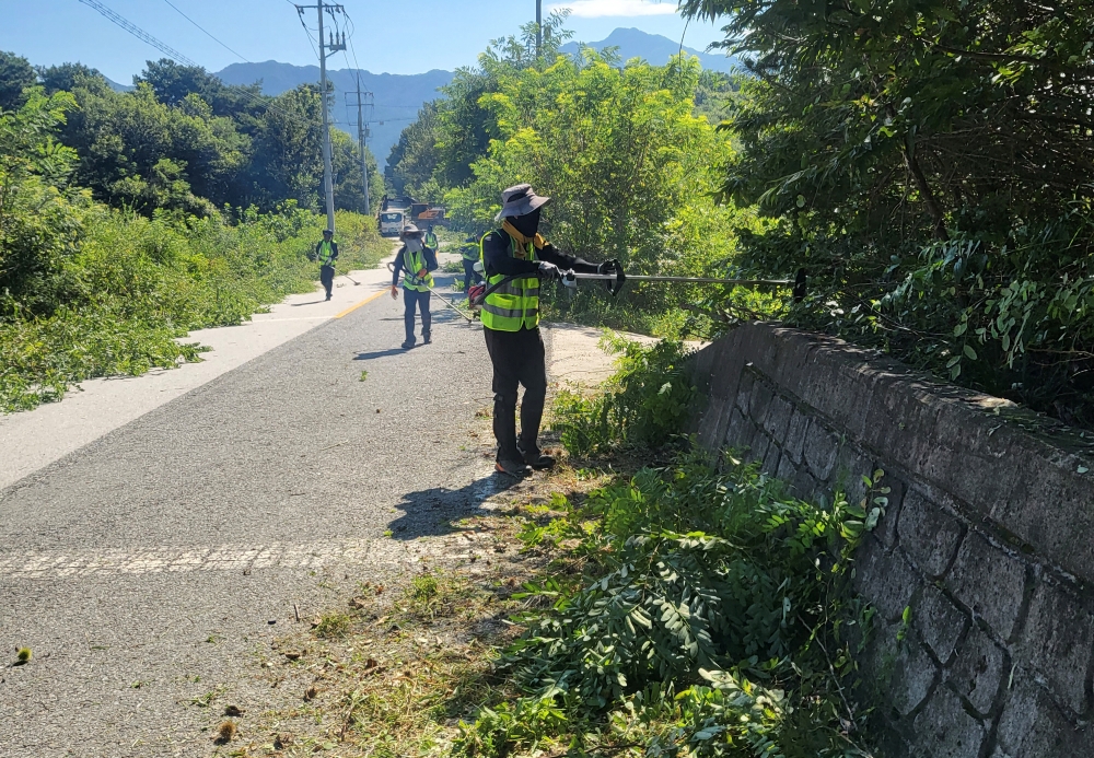 남원시, 잡목과의‘안전 총력전’ 쾌적한 도로환경‘사수’