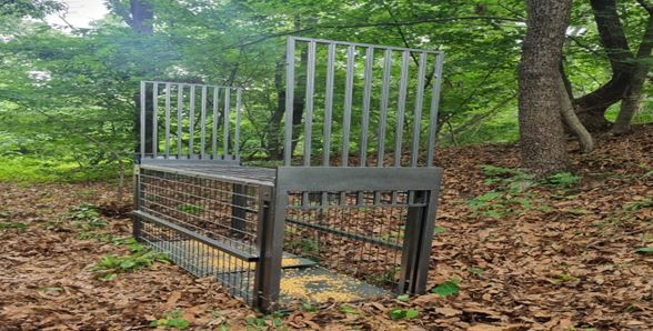 파주시, 인생 2막 지원‘시니어층 취업 특강’교육생 모집