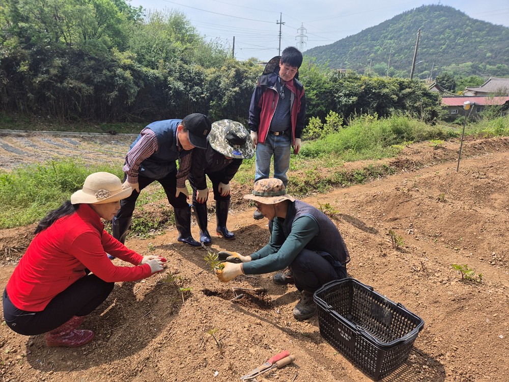 여수시, ‘농촌에서 3개월 살아보기’ 2기 참가자 모집