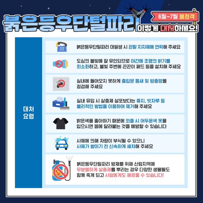 포천시보건소, 러브버그는 해충이 아닌 ‘익충’ 이렇게 대처하세요!
