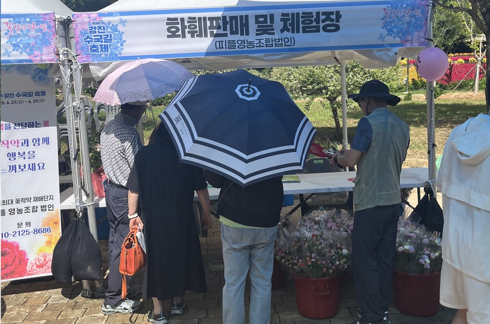 ‘수국愛 할인데이’ 대성공! 농가엔 희망을 소비자에겐 감동을, 제3회 강진수국길 축제 3일간 화훼농가 4천만 원 매출 달성, 침체된 꽃시장 소비에 활기 띄어