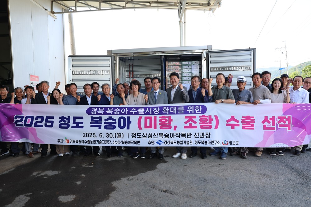 청도복숭아, 2025년 첫 수출