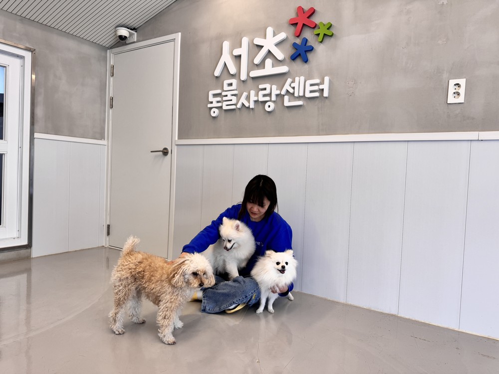 서초구, 여름 휴가철 '반려견 돌봄쉼터' 운영
