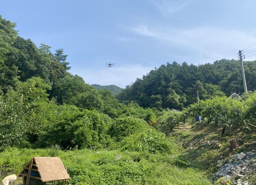 음성군, 돌발해충 긴급방제 약제 지원