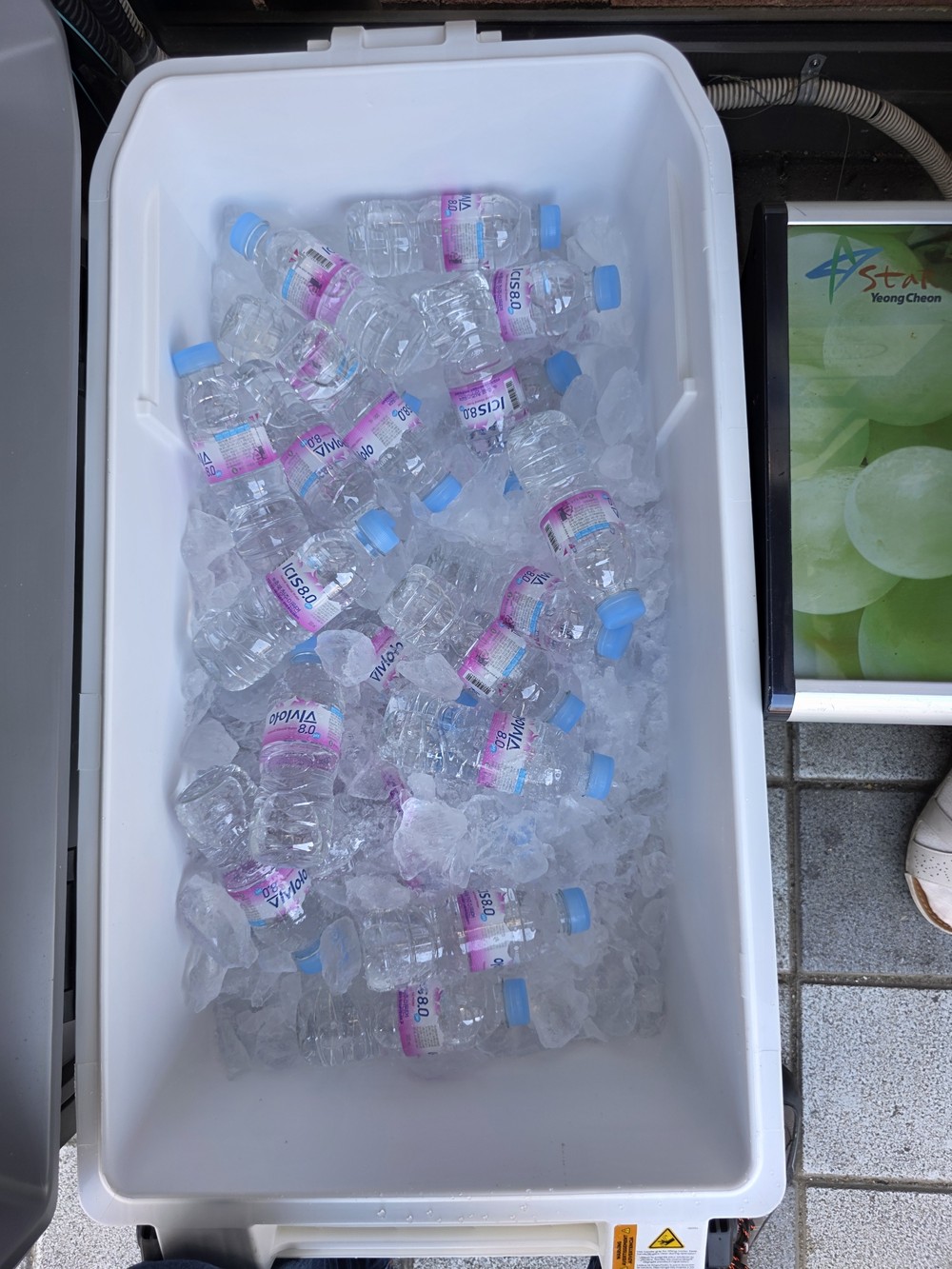 영천시, 영천공설시장 주변 버스 승강장에 생수·얼음 비치 “시원한 생수로 무더위 날려 버리세요”