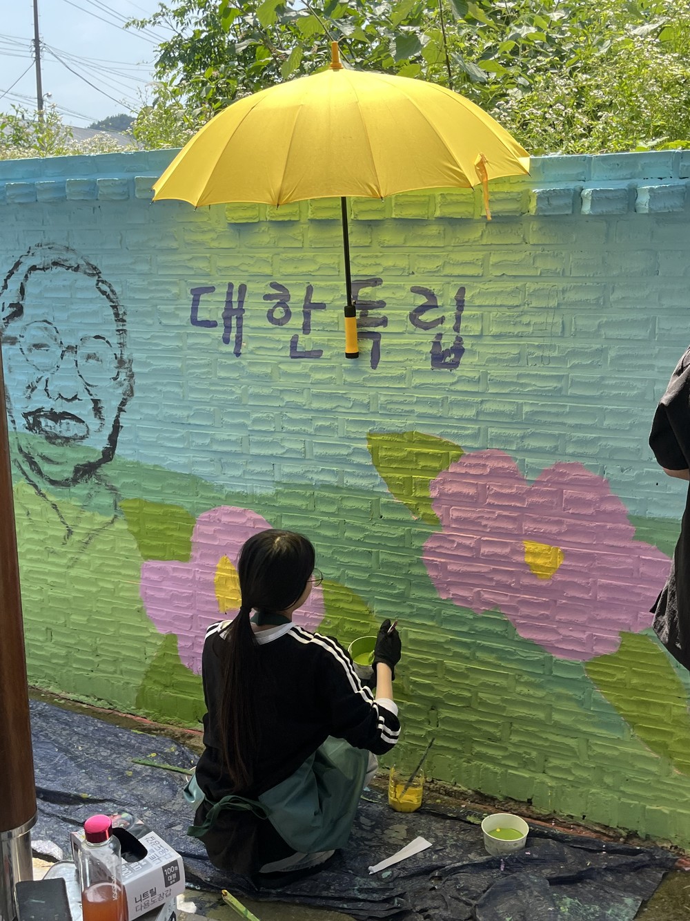 보성군, ‘독립운동가 벽화에 담다’ 프로그램 운영