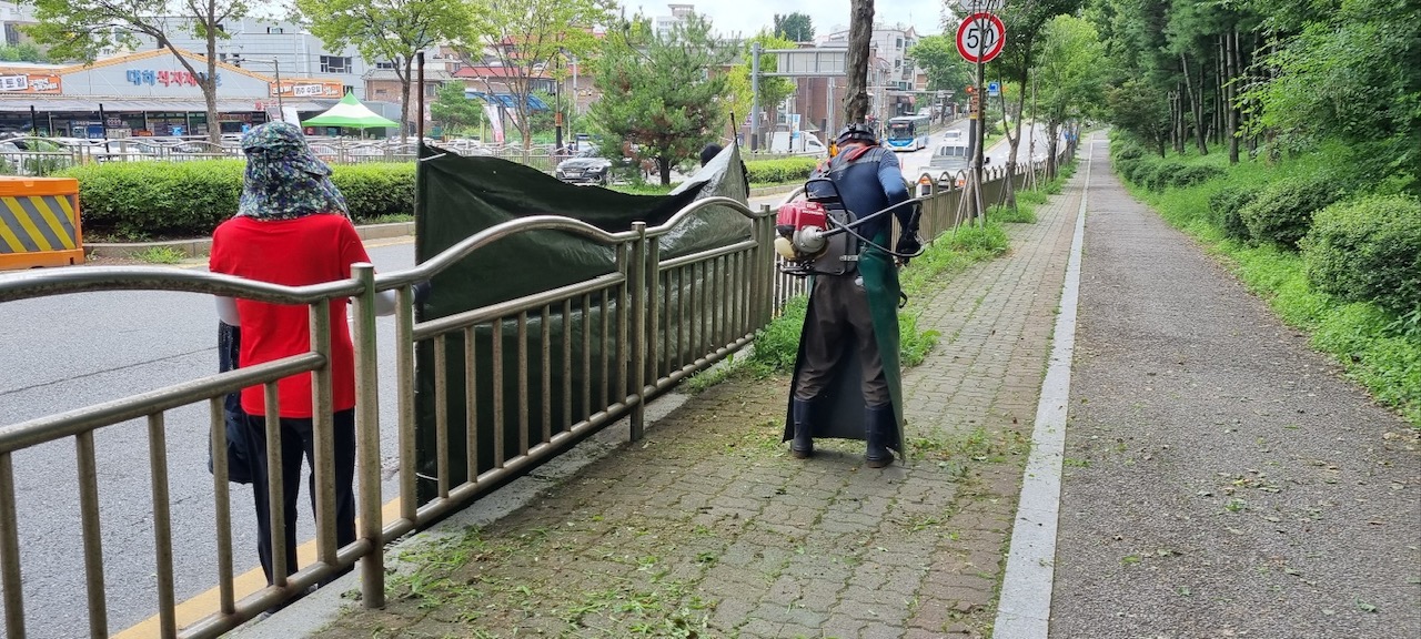 금촌2동 쾌적한 길 정비… 금이동네 만들기, 잡초부터 치웠다!