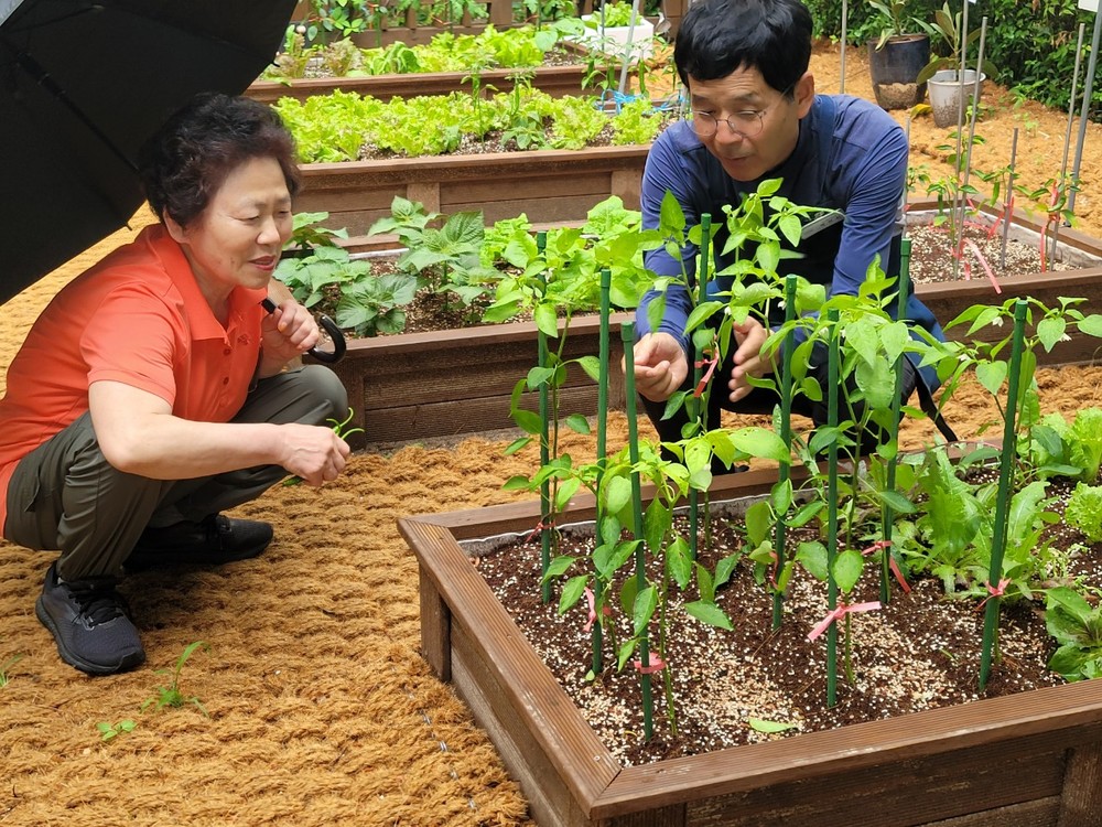 양주시, ‘아파트 쌈지텃밭’ 2023년부터 10개 단지 조성…세대 간 소통과 도시 힐링 확산