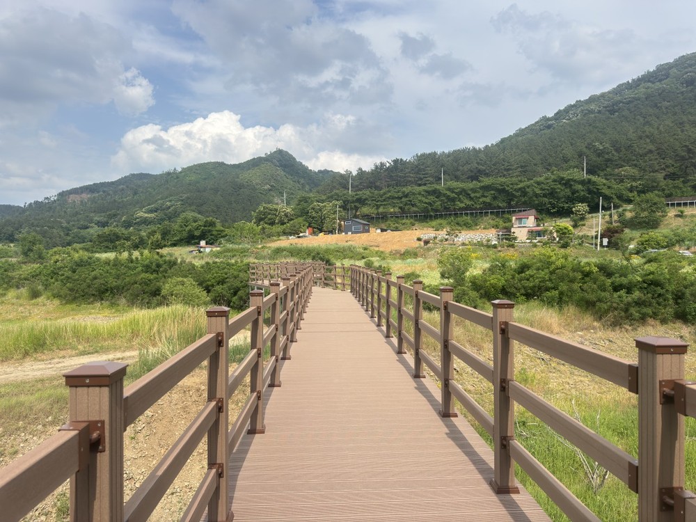 대전 동구, ‘신촌누리길’ 조성 완료… 대청호 수변길 새 단장