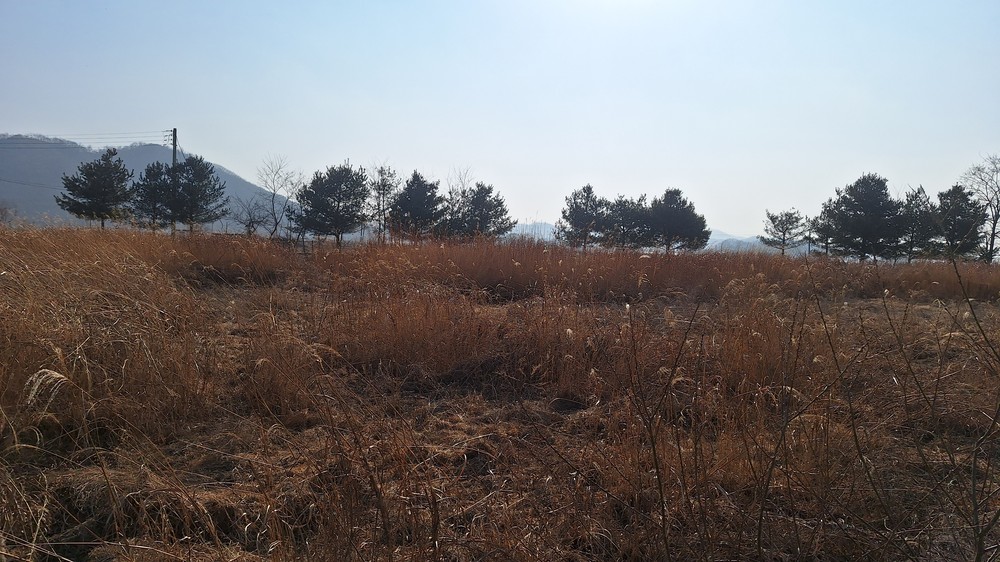 근대문화유적센터 공원조성 본격 착수