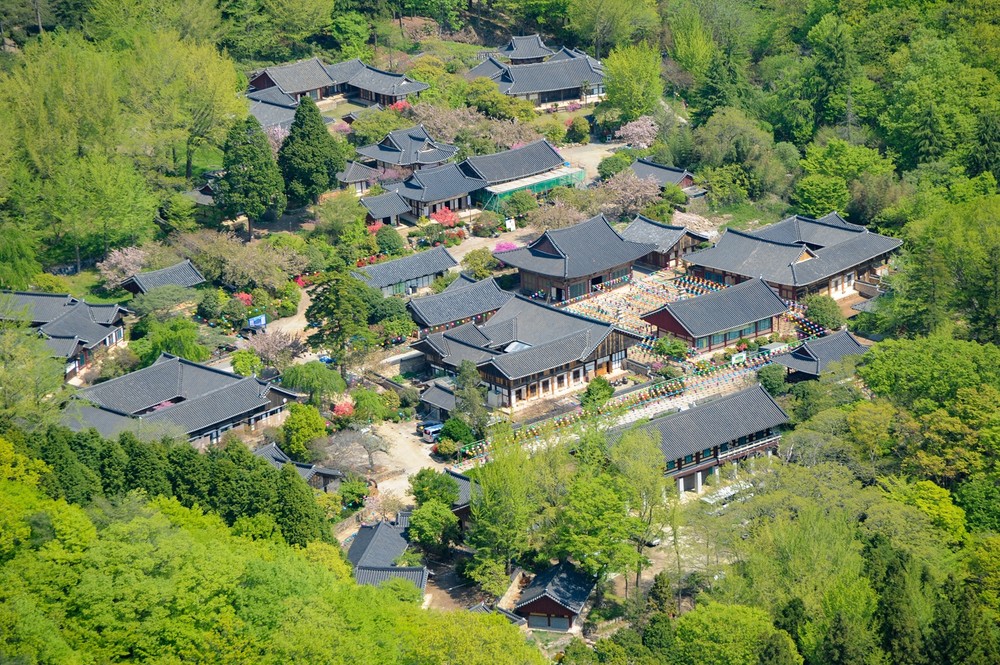 순천대 유학생, 세계유산축전의 얼굴로…글로벌 사절단 참가