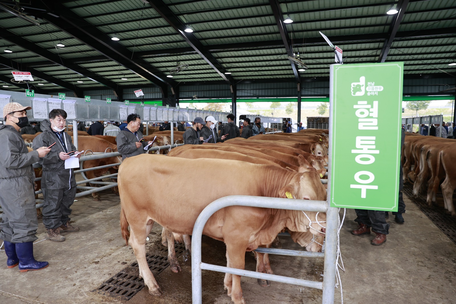 김철우 보성군수 “농업이 곧 생명, 다 함께 잘사는 농‧축산업 완성” 박차
