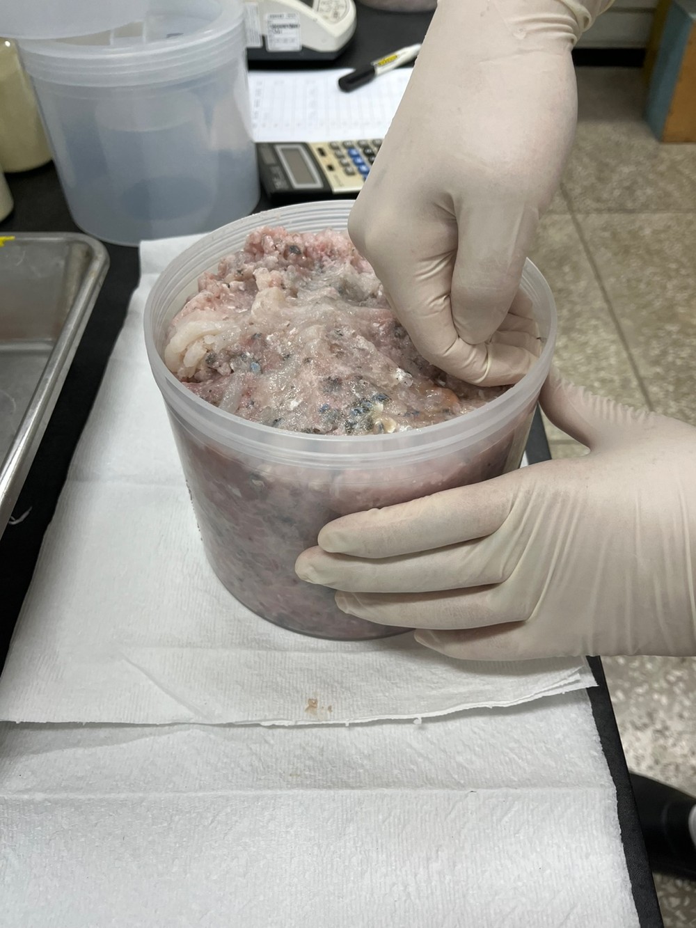 경주시, 수산물·식수 방사능 검사 결과 ‘모두 안전’