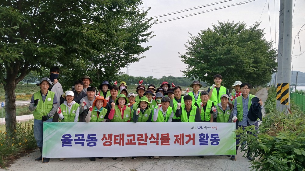 율곡동, 생태교란식물 제거 활동 펼쳐
