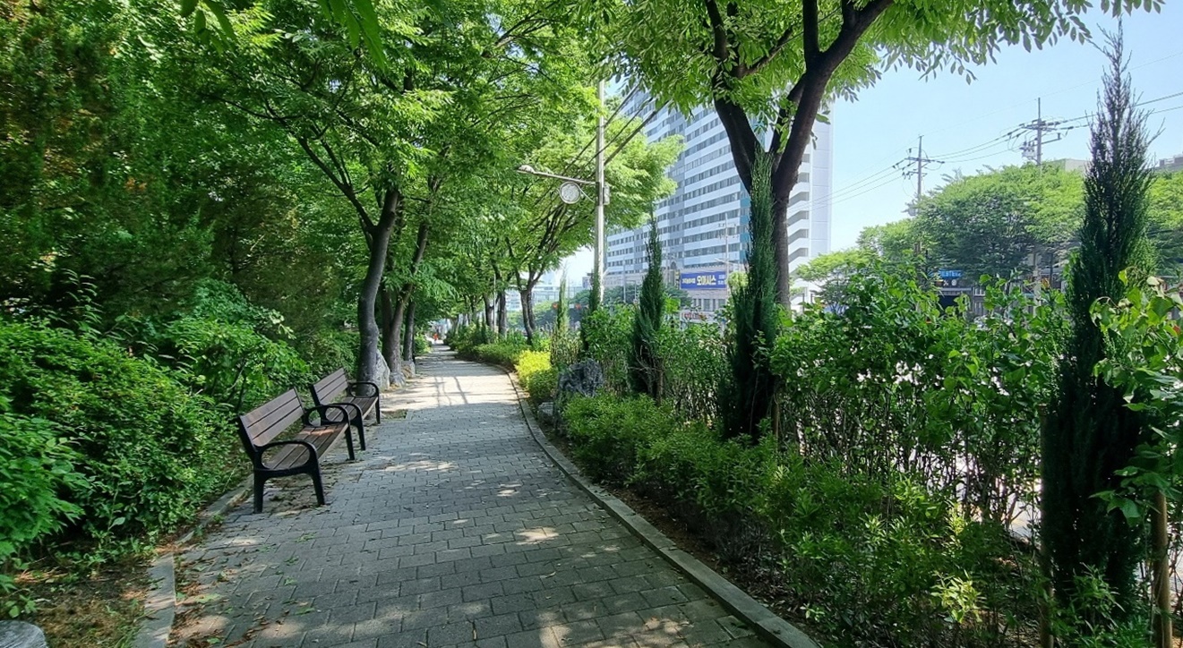 미추홀구, 미추홀대로 가로수벽 정비 완료…깨끗하고 안전한 거리로 새 단장