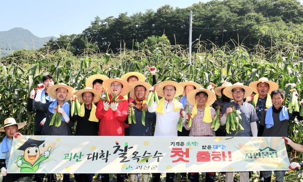 괴산군, 2025 괴산대학찰옥수수 첫 출하 행사 개최
