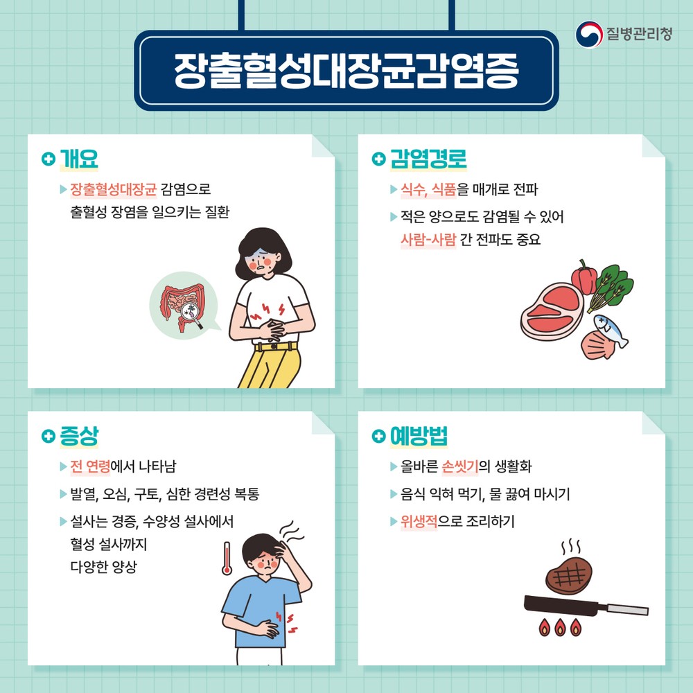 고양시, 수도권서 장출혈성대장균감염증 집단 발생…철저한 위생수칙 실천 당부