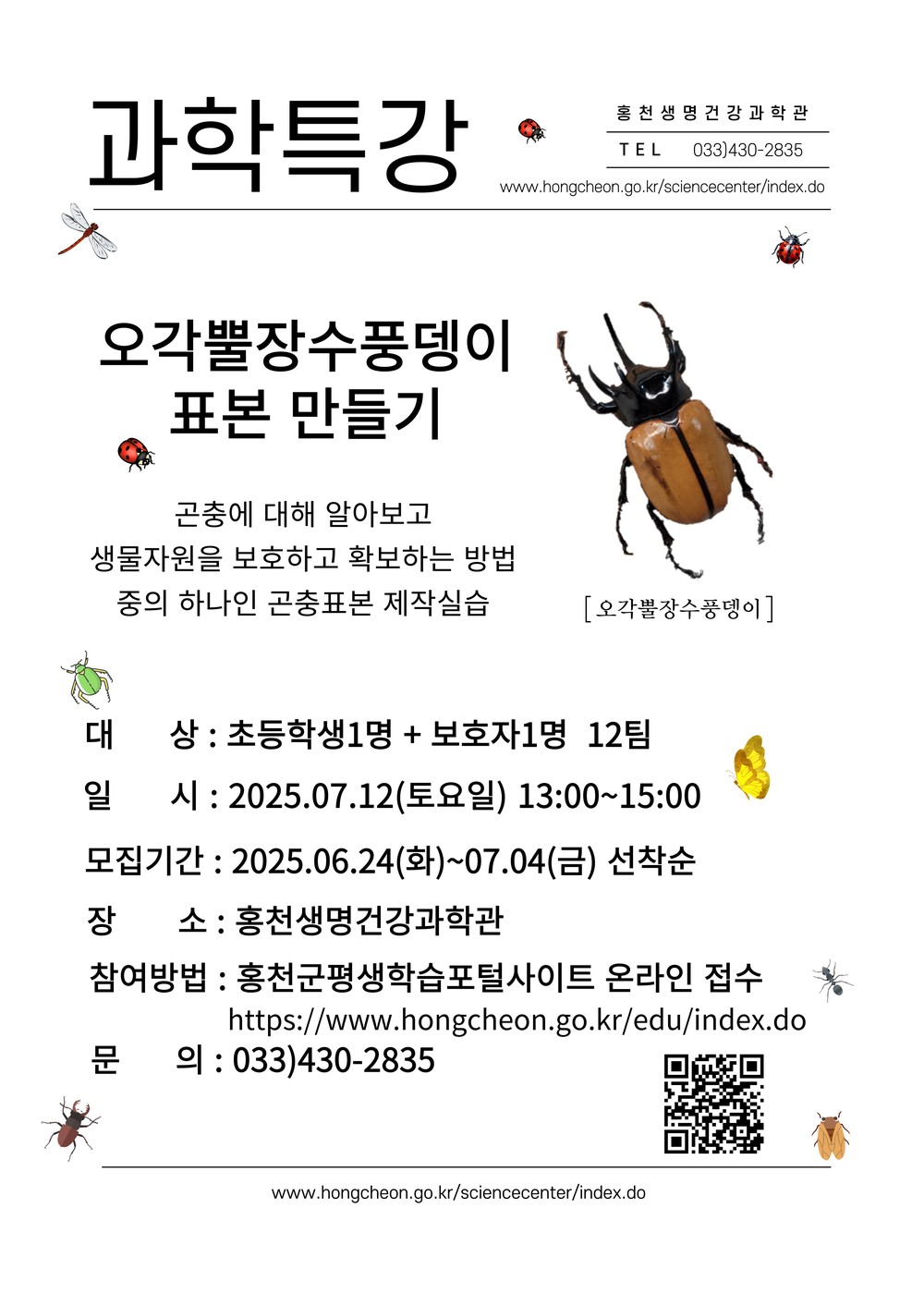 홍천군, 초등학생을 위한 곤충 체험 프로그램 
오각뿔장수풍뎅이 표본 만들기 특강 개최