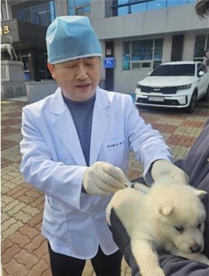 진도군, 천연기념물 진도개 ‘방문 진료’ 큰 호응